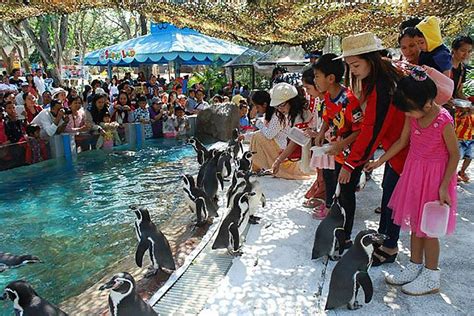 10 Best Hotels near Dusit Zoo.